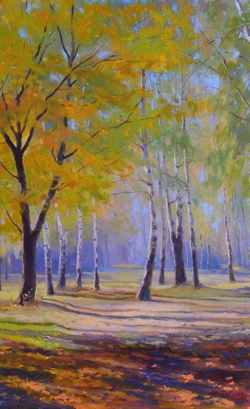 Autumn in the birch park by Ruslan Kiprych