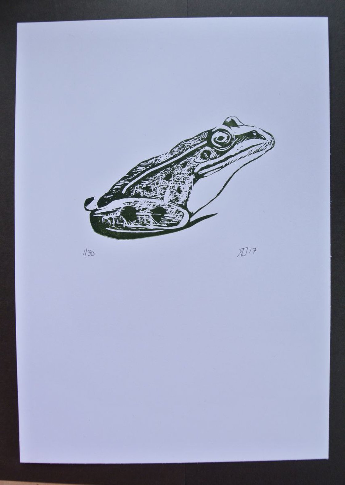 Harp popular Frog Original linocut