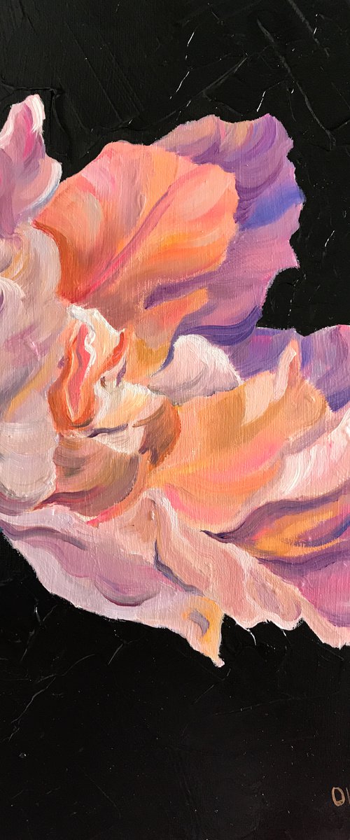 Pink Tulip 20 by Olga Volna