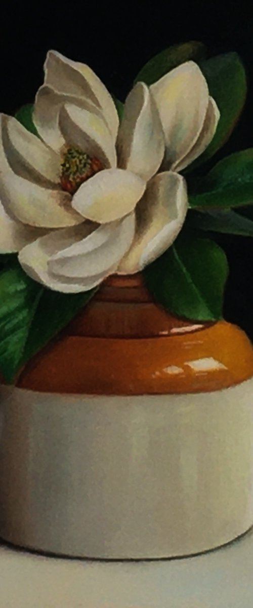 Magnolia on a window sill by Priyanka Singh