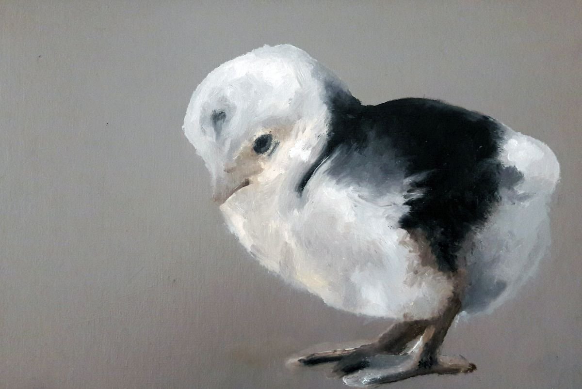Baby Chick - oil on wood by Ivana M. Neo