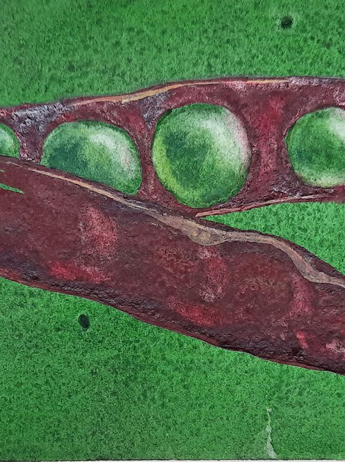 Medieval Peas by Alison Fennell