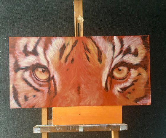 Tiger Eyes