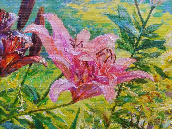 Sunny siesta. Lilies.