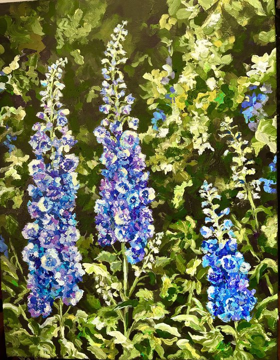 Delphiniums