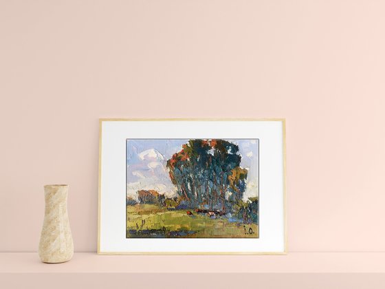 In the Shadow of Sedge