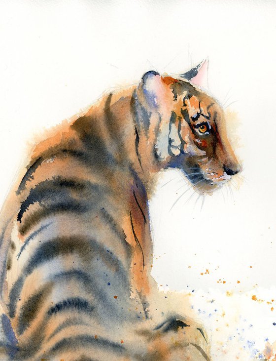 Sitting Tiger