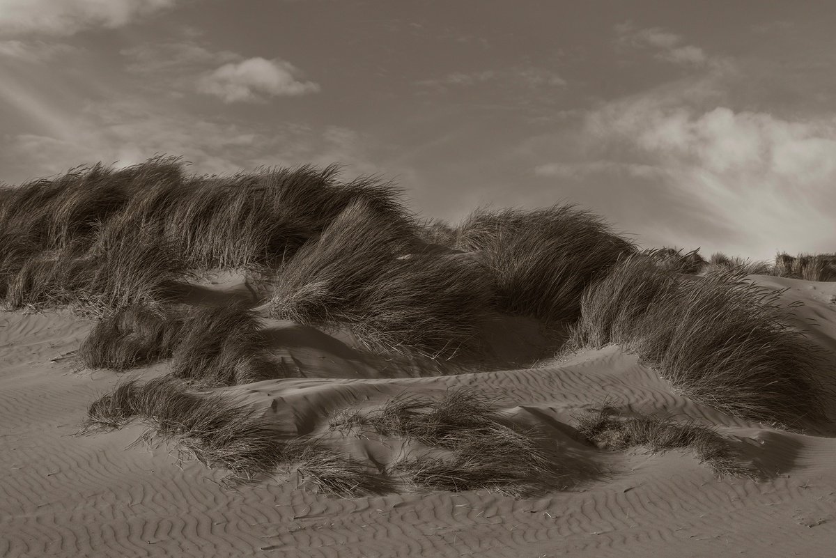 Camber Dunes by Adam Regan