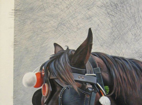 Horse Head with Blinkers