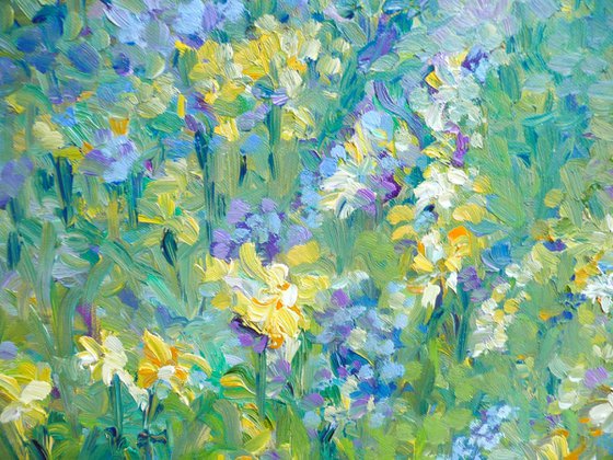Lavender in Provence 2025