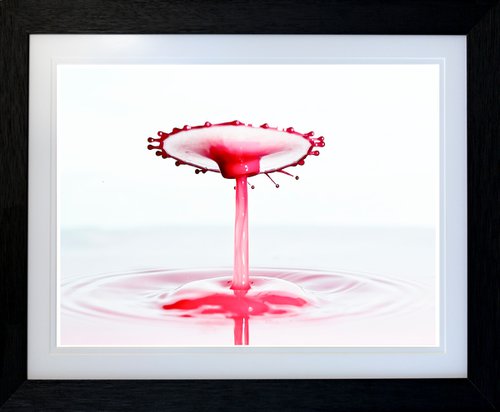 'Bloody Carousel 2' - Liquid Art by Michael McHugh