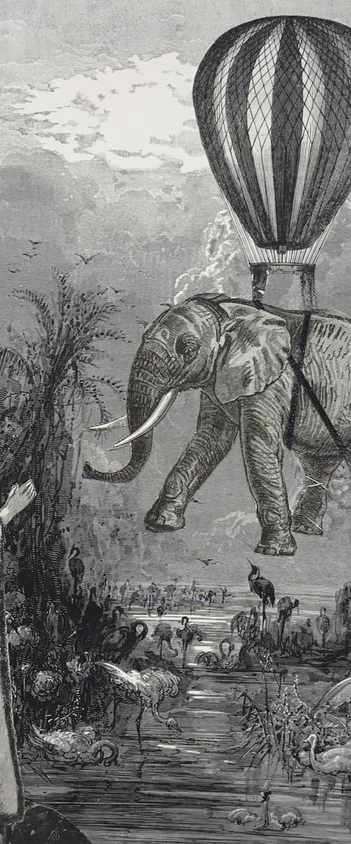 Carrying the elephant by Tudor Evans