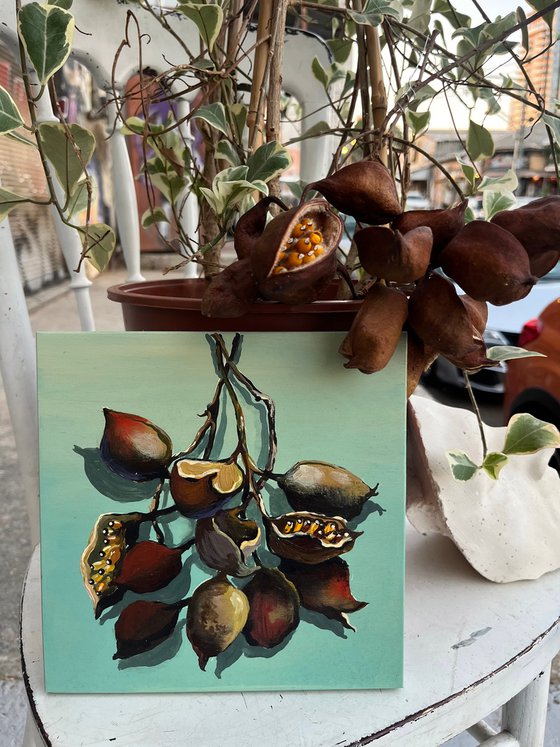 Seeds of Hidden Stories