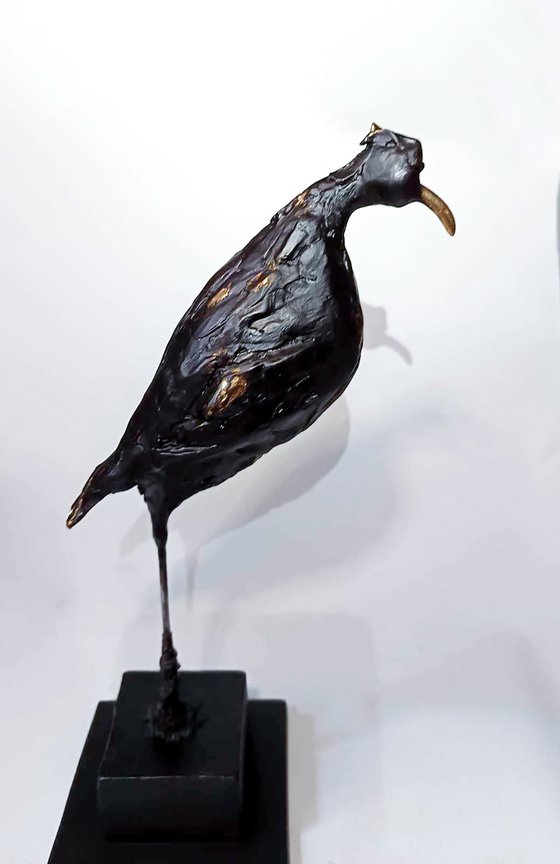 Bird