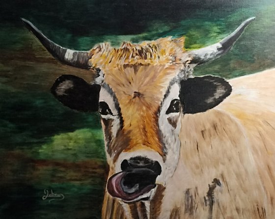 Cow