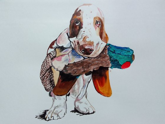 Bassethound