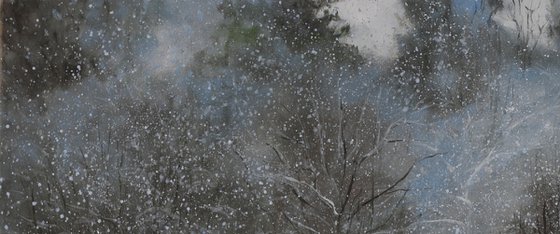Snowfall In The Forest