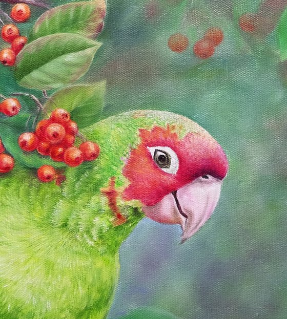 A Very Friendly Parrot