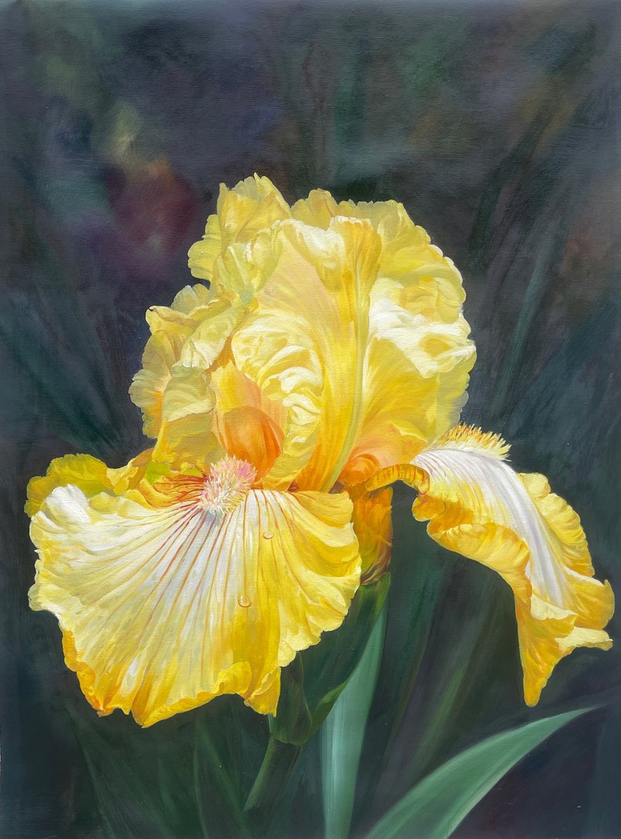 Impressionistic Botanical Oil Painting By Kunlong Wang, 30 X 39", Realism Floral Painting:yellow Flowers T204, Original Artwork