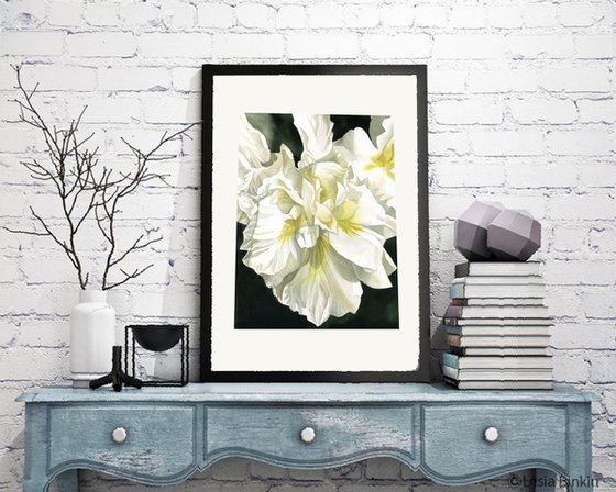 white Japanese iris watercolor