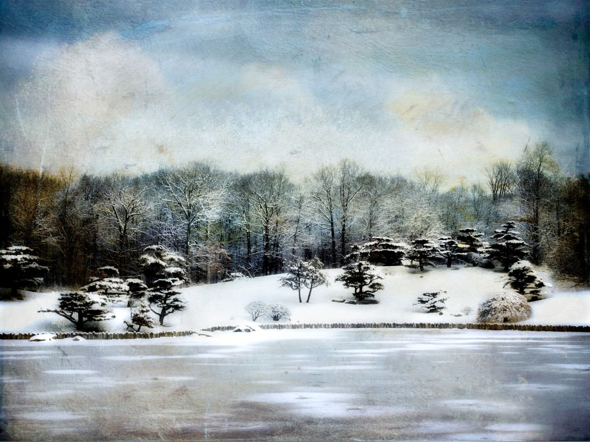 Perfect Winter by Robert Tolchin