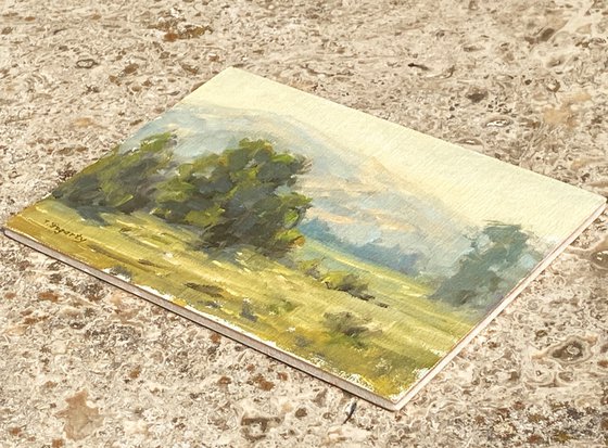 Summer Foothills II Landscape