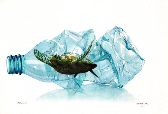 Turtle in Plastic Bottle