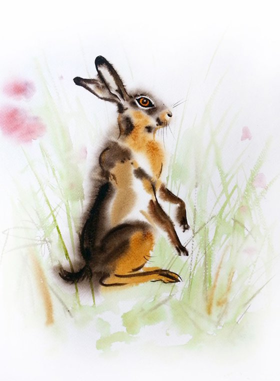 Wild Hare - Brown Bunny