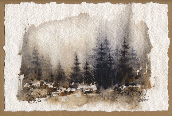 Places XV - Watercolor Pine Forest