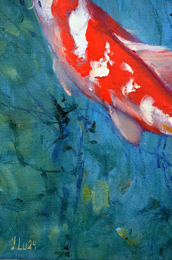 Red Koi carp