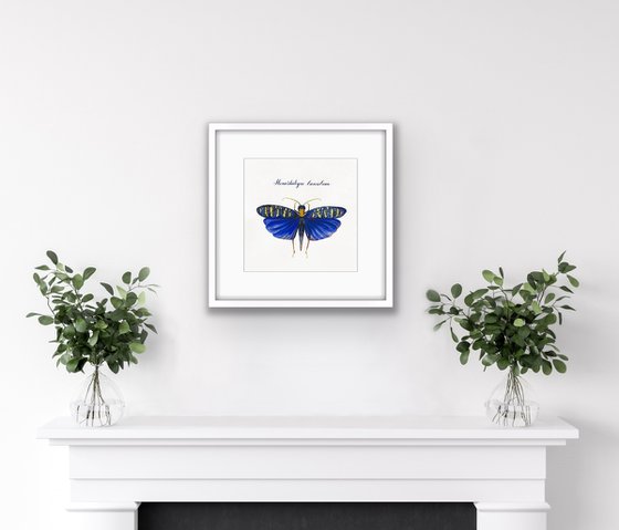 Monarchidium lunulum moth. Original watercolour artwork with calligraphic lettering.