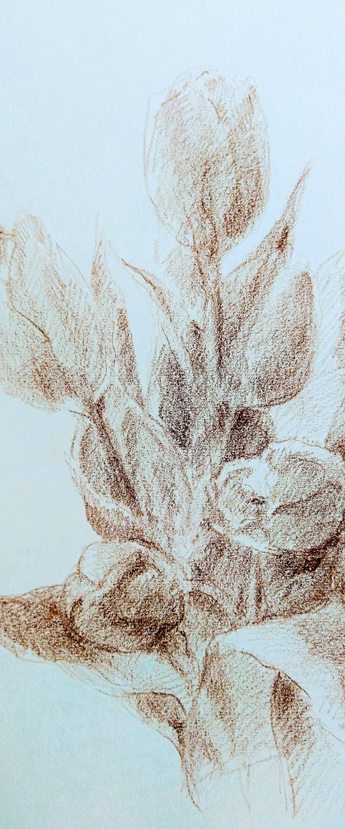 Tulipes #4. Original pencil drawing. by Yury Klyan