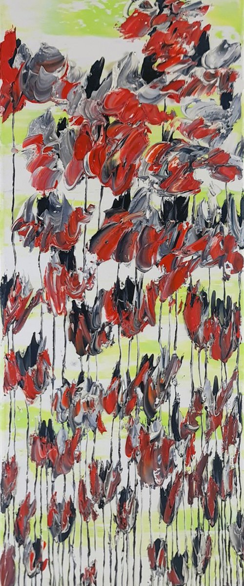 Poppy Flowers 1 by Daniel Urbaník