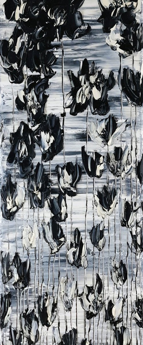 Black Poppies by Daniel Urbaník