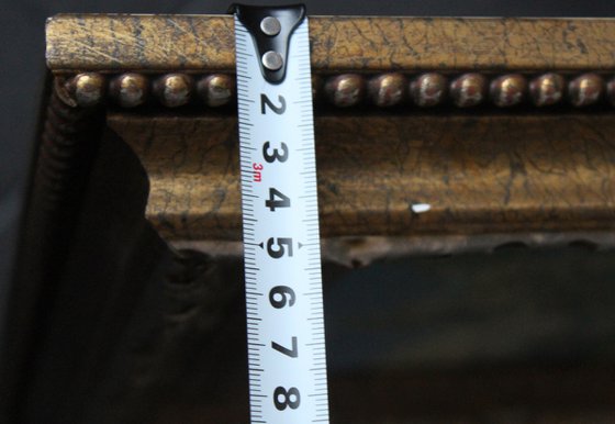 Apple blossom. Kolomenskoye