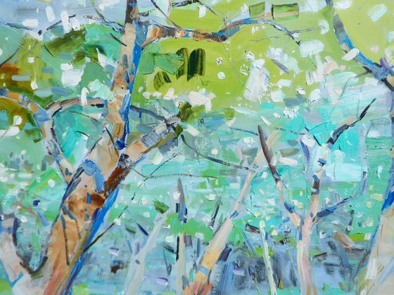 " Apple orchard "