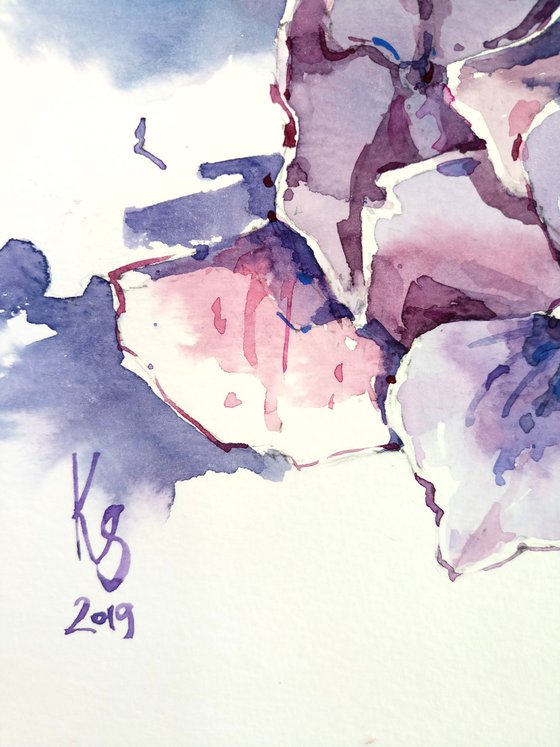 "Twilight hydrangea" Original watercolor sketch