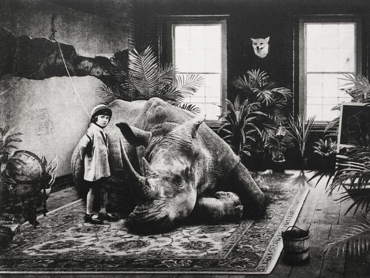 Surrealistic Still Life Etchings & Engravings By Jaco Putker, 13 X 10, Interior No.38, Original Artwork