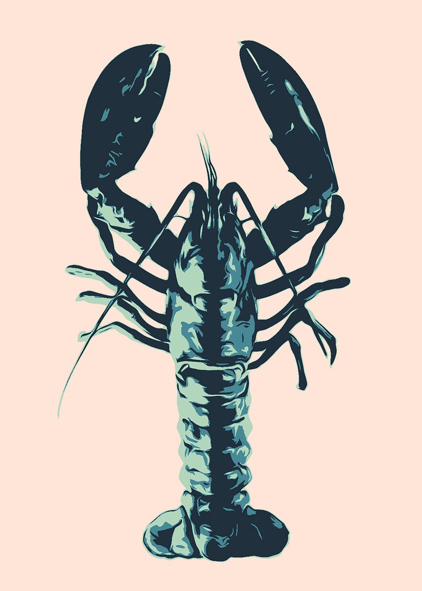 Crayfish | 27,6x19,7 (70x50 cm) by Kosta Morr
