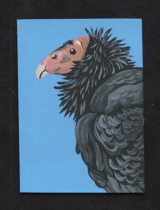 ACEO ATC Original Painting California Condor Wildlife Bird Art-Carla Smale