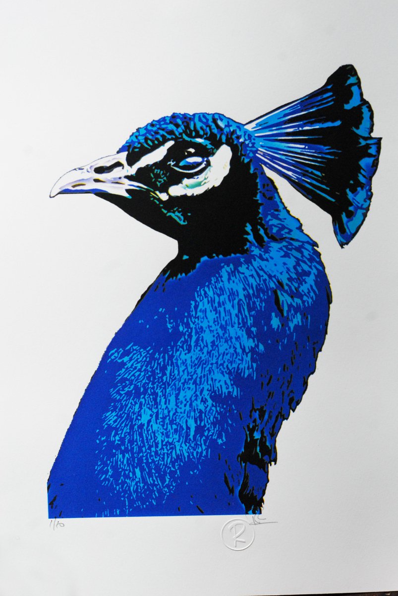 Blue Peacock by Robin Ross
