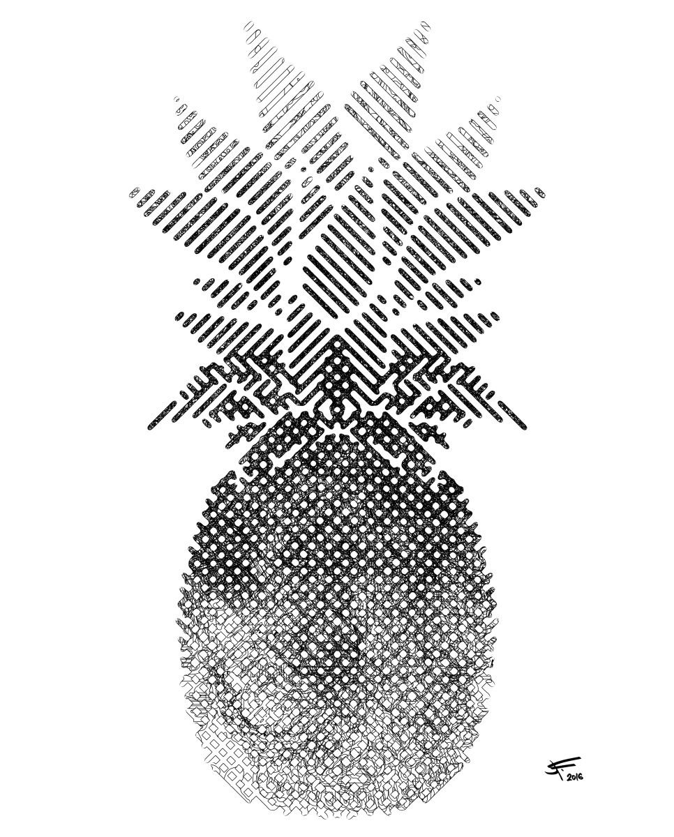 Pineapple, Black and White, Framed Artwork, 16 x20 inches, by Jeff Kaguri