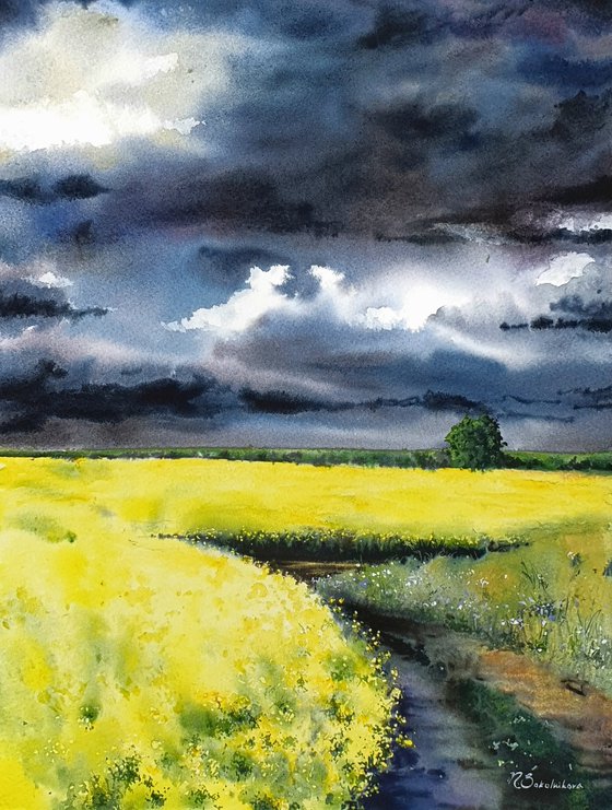 Yellow field before the storm