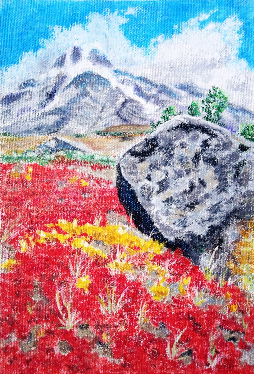 Blooming carpet of Kamchatka by Liubov Samoilova