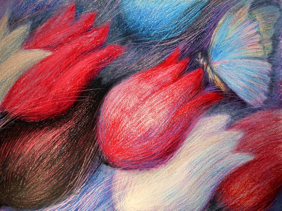 Tulips and Butterfly