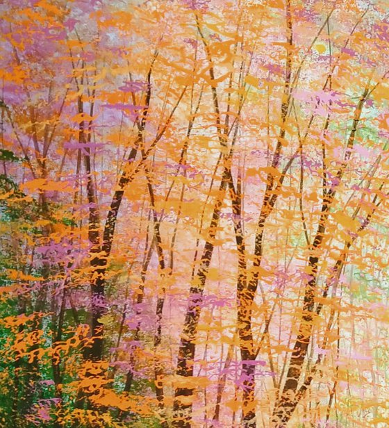 Sylvan Secret, Forest Glade