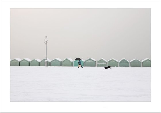 'Walkies' (A Snowy Day) Hove, East Sussex, England