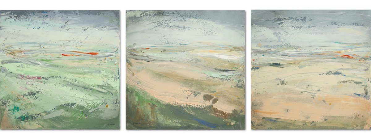 Triptych (abstract landscapes) by Susana Sancho Beltran
