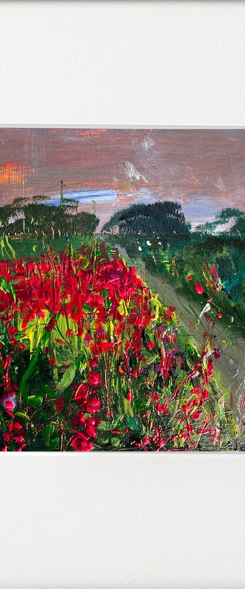 Seasons - Summer down the Rosebay Willowherb lane by Teresa Tanner