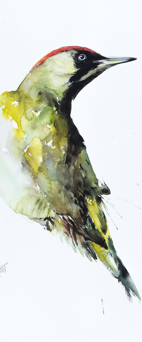 Green Woodpecker by Andrzej Rabiega